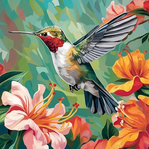 PRASIO Paint by Numbers Kit for Adults Beginner, Hummingbird Adult Paint by Number Kits on Canvas, DIY Acrylic Watercolor Oil Paint by Number for Adults for Home Decor Gift 16x16 Inch by Unknown