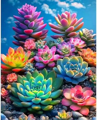obterie Plant Paint by Numbers Kit for Adults Beginner Succulents Oil Painting Kit Adult Paint by Number Kits on Canvas DIY Painting for Beginners Art by Numbers for Gifts Home Wall Decor 16x20 Inch by Unknown