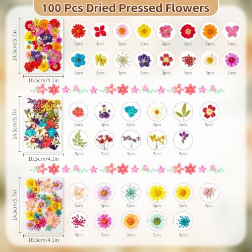 Dried Pressed Flowers for Resin Crafts, Real Dried Flowers and Leaves Kit for Resin Jewelry Molds, Candle & Soap Making, Scrapbooking DIY, Nail Art (Multicolored) - Image 2