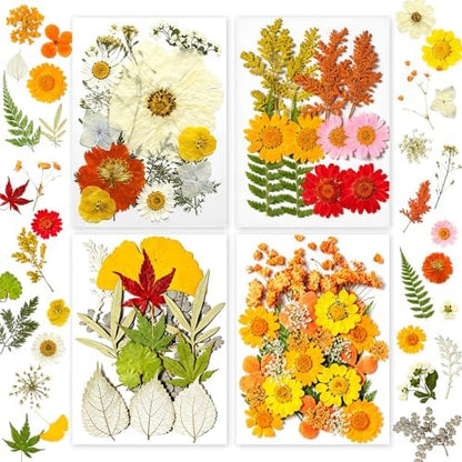 Dried Pressed Flowers for Resin Crafts, Real Dried Flowers and Leaves Kit for Resin Jewelry Molds, Candle & Soap Making, Scrapbooking DIY, Nail Art (Yellow, Orange) by SOMNINOX