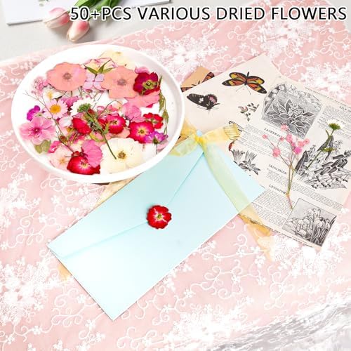 50Pcs Dried Pressed Flowers Real Pressed Flowers Natural Dry Leaves Bulk Mixed Colorful Herbs Kit with Tweezers for Scrapbooking DIY Candle Jewelry Crafts Making Nails (Pink) - Image 3