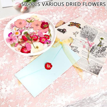 50Pcs Dried Pressed Flowers Real Pressed Flowers Natural Dry Leaves Bulk Mixed Colorful Herbs Kit with Tweezers for Scrapbooking DIY Candle Jewelry Crafts Making Nails (Pink) - Image 3