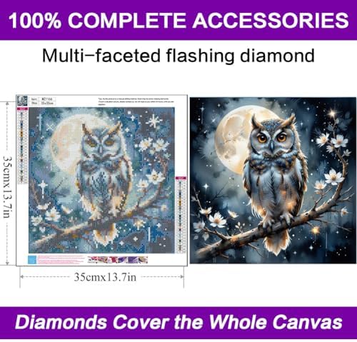 Diamond Art Kits for Adults, Owl Diamond Art Painting Kits for Adults - Image 4