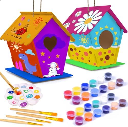 hapray 2 Pack Bird House Kits for Kids, DIY Birdhouse Kit Build and Paint by hapray