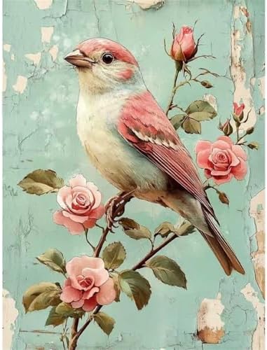 pchmcu Bird Flower Paint by Numbers Kits for Adults,Rose Paint by Number for Adults Beginner, Paint by Numbers Kits on Canvas Without Frame for Home Wall Decor 16x20inch by PCHMCU