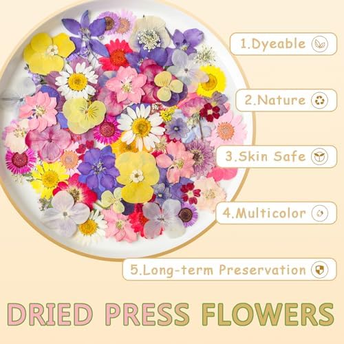 Dried Pressed Flowers Real Pressed Flowers Natural Dry Leaves Bulk Mixed Colorful Herbs Kit with Tweezers for Scrapbooking DIY Candle Jewelry Crafts Making Nails - Image 5