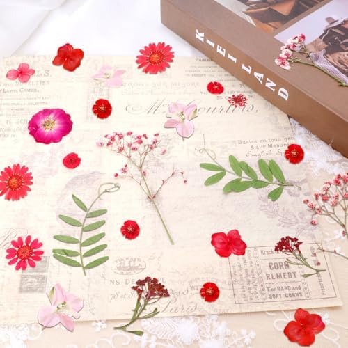 Dried Pressed Flowers Real Pressed Flowers Natural Dry Leaves Bulk Mixed Colorful Herbs Kit with Tweezers for Scrapbooking DIY Candle Jewelry Crafts Making Nails (Red) - Image 5