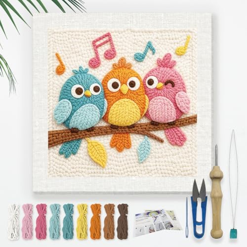 Doodlream Singing Birds Needle Kit for Beginner, 9.4"x 9.4" Color Bird Punch Stitching Craft Set, DIY Embroidery Starter with Printed Frame, Instruction, Threader, Yarn, Pinch Needle by Doodlream