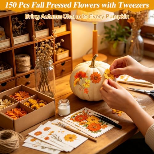150 PCS Fall Dried Pressed Flowers for Crafts, Real Orange Red Dried Wildflowers Leaves Bulk Nature Pressed Dried Flower for Scrapbooking Candle Resin Jewerly Making - Image 2