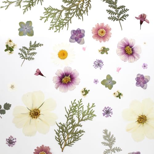 40PCS Real Nature Dried Pressed Flowers for Resin Mold, Dry Pressing Floral with Butterfly Transparent Stickers Set for DIY Jewelry Card Scrapbook Art Craft Decors - Image 4