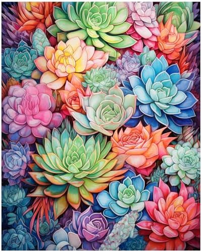 XTCIXAL Paint by Numbers Kit for Adults, Succulent, 16X20 Inch by XTCIXAL