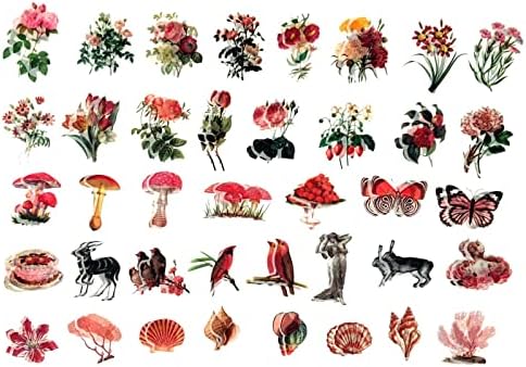 Esweny 200PCS Vintage Scrapbooking Supplies Kit for Journaling, Scrapbook Sticker Paper Pack for Junk Journal Planners Aesthetic Cottagecore Room Decor Wall Art Collage Album - Image 6
