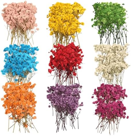 9 Pack Dried Flowers, Natural Pressed Flowers Kit for DIY Crafts, Scrapbook, Card Making,9 Colors by Unknown