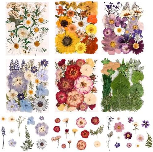 150PCS Pressed Dried Flowers Dry Leaves for DIY Crafts, Colorful by nisetten