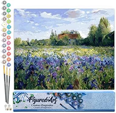 Figured'Art Paint by Numbers for Adults Countryside Field and Blue Flowers 16"x20" - Craft Art Painting DIY Kit Rolled Canvas Without Frame by FiguredArt