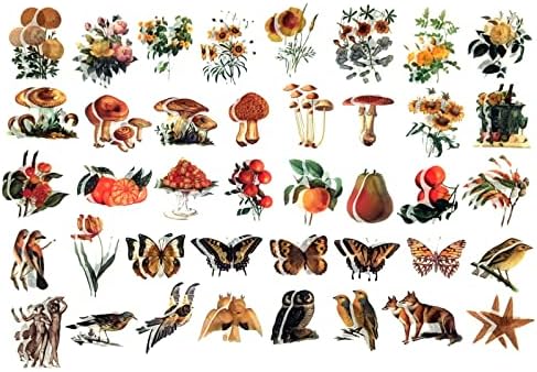 Esweny 200PCS Vintage Scrapbooking Supplies Kit for Journaling, Scrapbook Sticker Paper Pack for Junk Journal Planners Aesthetic Cottagecore Room Decor Wall Art Collage Album - Image 6