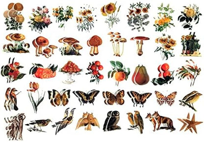 Esweny 200PCS Vintage Scrapbooking Supplies Kit for Journaling, Scrapbook Sticker Paper Pack for Junk Journal Planners Aesthetic Cottagecore Room Decor Wall Art Collage Album - Image 6