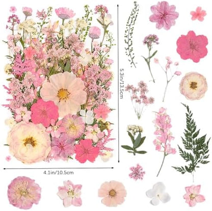 50pcs Pink Pressed Flowers Bulk, Romantic Dried Flower Leaves, Natural Pressed Dried Flowers with Tweezer for DIY Crafts Resin Mold Candles Cake Bridal Scrapbooking Supplies - Image 2