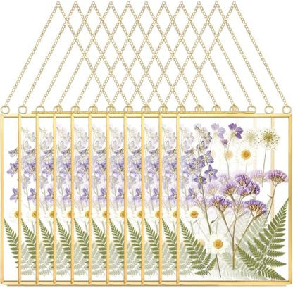 Qunclay 10 Pcs 4 x 6 Inch Pressed Flower Frames Craft Kit for Adults by Qunclay