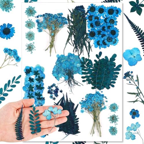 Fabbay 200 Pcs Dried Pressed Flowers Natural Leaves for Resin Nail, Blue by Fabbay