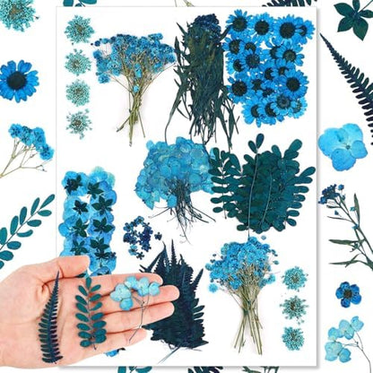Fabbay 200 Pcs Dried Pressed Flowers Natural Leaves for Resin Nail, Blue by Fabbay