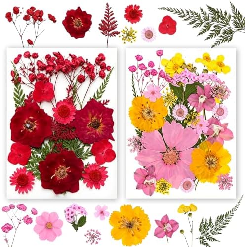 Dried Pressed Flowers for Resin Crafts, Real Dried Flowers and Leaves Kit for Resin Jewelry Molds, Candle & Soap Making, Scrapbooking DIY, Nail Art (Pink, Red) by SOMNINOX