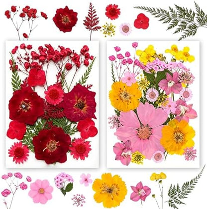 Dried Pressed Flowers for Resin Crafts, Real Dried Flowers and Leaves Kit for Resin Jewelry Molds, Candle & Soap Making, Scrapbooking DIY, Nail Art (Pink, Red) by SOMNINOX