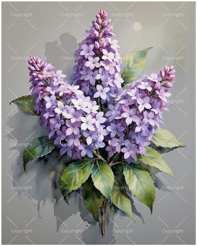Botanical Art Paint by Numbers Kit for Adults - DIY Lilac Floral Cluster Painting on Canvas 16x20 Inches, Acrylic Paint Set, Suitable for Beginners, Art for Home Decoration or Gifts by Unknown