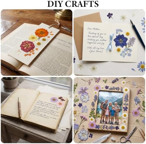 105 Pcs Dried Pressed Flowers for Resin,Bulk Natural Real Dried Flowers - Image 3