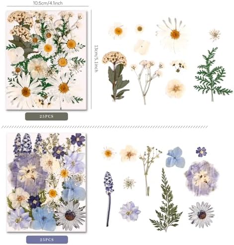 150PCS Pressed Dried Flowers Dry Leaves for DIY Crafts, Colorful - Image 3