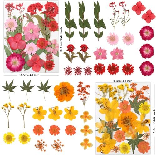 LUXEEASE 80P Yellow Red Pink Blue Dried Pressed Flowers - Image 2