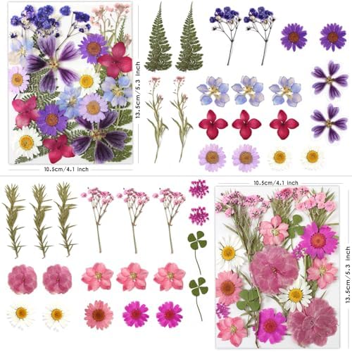 LUXEEASE 80P Yellow Red Pink Blue Dried Pressed Flowers - Image 3