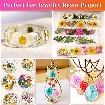 Real Dried Pressed Flowers for Resin, Natural Dry Flowers Leaves Bulk Herbs Kit for DIY Scrapbooking Stamping Supplies Epoxy Resin Jewelry Molds Candle Soap Making Nails Décor Art Crafts - Image 2