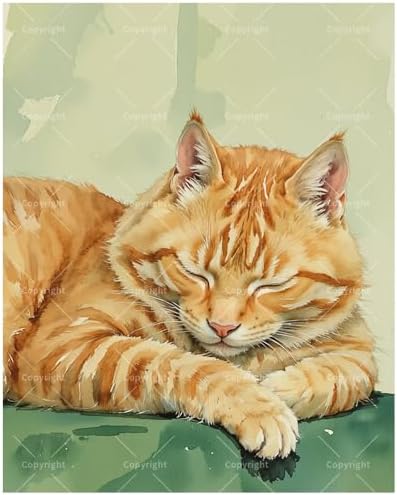 TAOPAOLAB Cat Paint by Numbers Kit for Adults - DIY Sleeping Orange Tabby Painting on Canvas 12x16In, Framed Acrylic Paint Set, Suitable for Beginners, Animal Art for Home Decoration or Gifts by Unknown