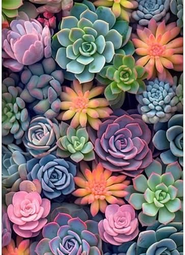 Ycydilirab Succulent Paint by Numbers Kits for Adults Beginners-Succulent Plant Paint by Number for Adult,Easy Canvas Paint by Numbers for Adults for Home Wall Decoration and Gifts 16X20 inch by Ycydilirab
