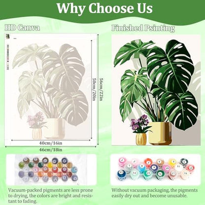 AIRDEA Flowers Paint by Numbers for Adults Beginner,Monstera and Orchids Painting by Number Kits on Canvas,Frameless,16x20in DIY Acrylic Painting,Home Wall Decor - Image 3
