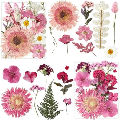 34 Types 60PCS Real Dried Pressed Flowers Leaf Plant Herbarium for DIY Resin Jewelry Making Floral Decors Candle Soap Scrapbook Supplies Card - Image 3