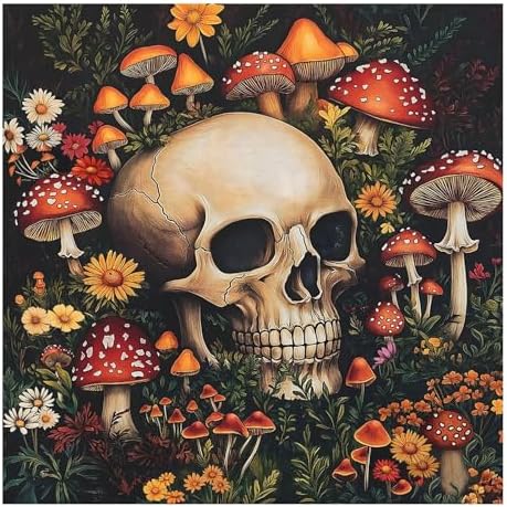Skull Paint by Numbers Kit for Adults, 16x16 inch by MANDUN
