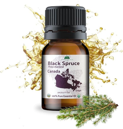 Nature Packaged Organic Black Spruce Essential Oil from Canada - Black Spruce Essential Oils for Candle Scent (5mL)