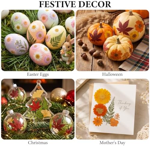 350 Pcs Fall Dried Flowers for Crafts,Real Nature Dried Flowers for Resin - Image 7