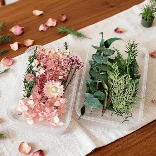 2PCS Dried Flowers Kit, Natural Dried Flowers Kit for DIY Crafts, Scrapbook, Card Making (Stye2_13) - Image 3