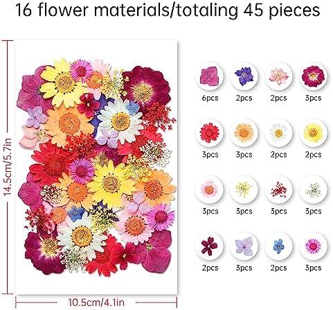 Dried Flowers, Kaluofan 45PCS Real Pressed Flowers, Dried Flowers for Resin Crafts, for Bookmark Resin Scrapbooking Jewelry Crafts Making, Candle and Nails Decoration - Image 2