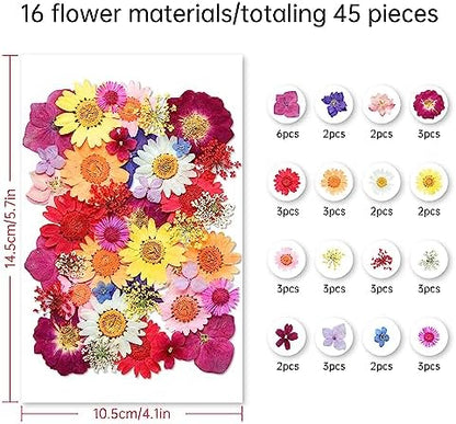 Dried Flowers, Kaluofan 45PCS Real Pressed Flowers, Dried Flowers for Resin Crafts, for Bookmark Resin Scrapbooking Jewelry Crafts Making, Candle and Nails Decoration - Image 2