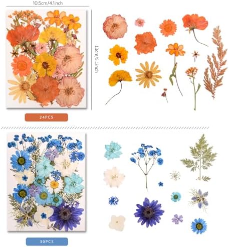 182 PCS Real Pressed Dried Flowers and Leaves for DIY Crafts - Image 4