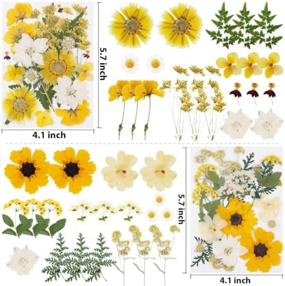 128 Pcs Fall Dried Pressed Flowers for Resin,Natural Real Dried Flowers - Image 2