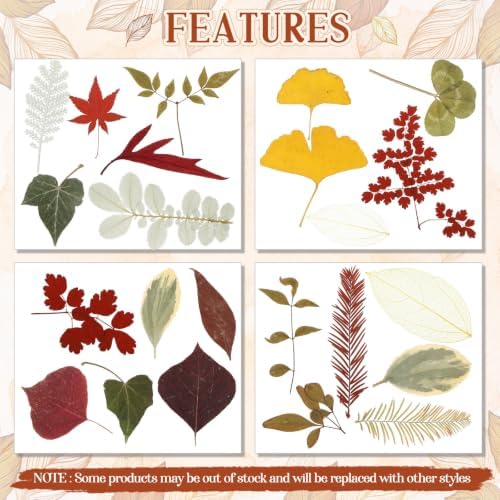 Timtin 84 Pcs Dried Pressed Leaves Flowers for Resin, Fresh - Image 5
