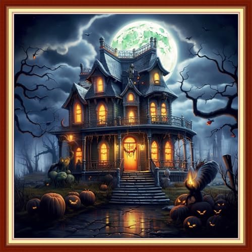 Redxing Stamped Cross Stitch Kits Embroidery kit for Beginners Adults Full Range of Embroidery Patterns Starter Kits DIY Printed Cross Stitch Kits Needlepoint Kits 11CT-Magic House 18x18 inchs by RedxingStampedCrossStitchK