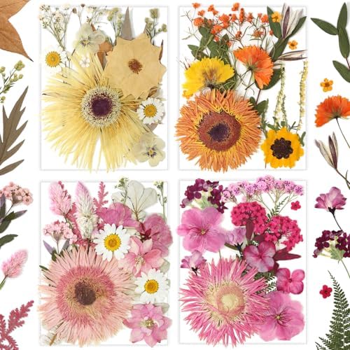 34 Types 60PCS Real Dried Pressed Flowers Leaf Plant Herbarium for DIY Resin Jewelry Making Floral Decors Candle Soap Scrapbook Supplies Card by Unknown