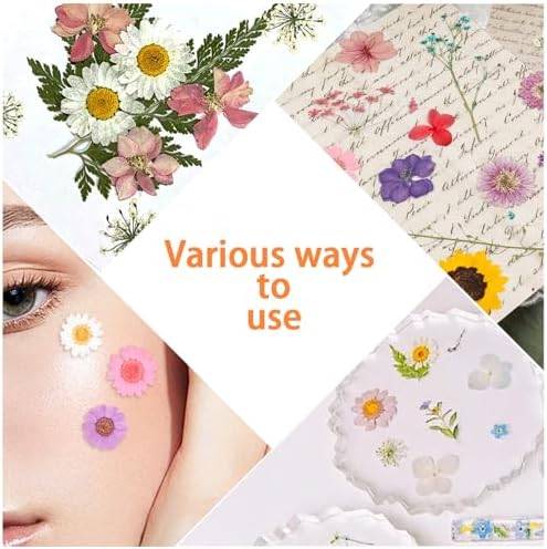 200Pcs Dried Pressed Flowers Resin Mould Real Flowers Natural Dry Leaves Bulk Mixed Colorful Herbs Kit with Tweezers for Scrapbooking DIY Candle Jewelry Crafts Making Nails Decoration(Multicolor) - Image 6