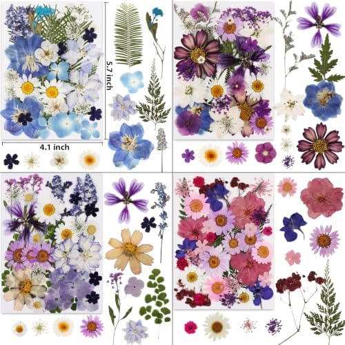 420 Pcs Dried Pressed Flowers for Resin,Bulk Natural Real Dried Flowers - Image 3